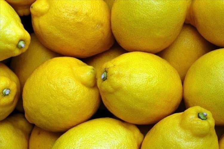 Yasaklı madde nedeniyle geri gönderilen limonların üretici ve ihracatçısına bakanlık soruşturması