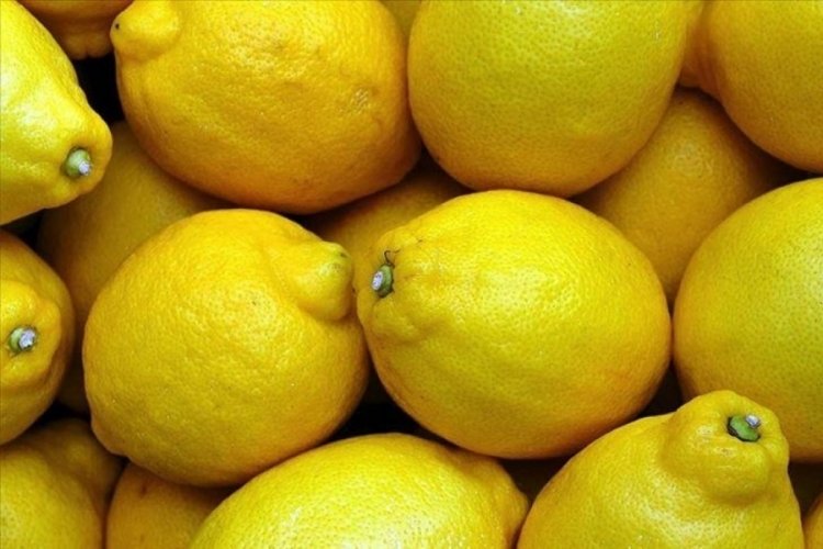Yasaklı madde nedeniyle geri g&ouml;nderilen limonların &uuml;retici ve ihracat&ccedil;ısına bakanlık soruşturması