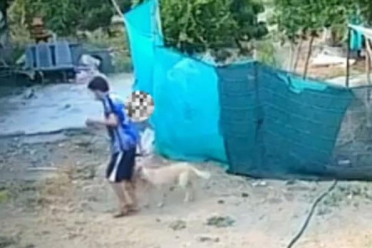 Yeğenini ısıran k&ouml;peğe sinirlenince &ouml;nce &ouml;ld&uuml;rd&uuml; sonra yemek yaptı!