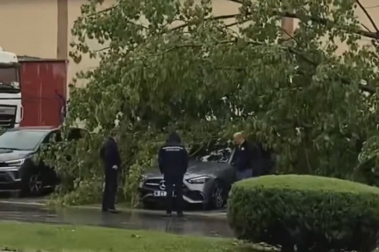 Bursa'da fırtına hayatı olumsuz etkiledi! Ağaçlara yıldırım düştü
