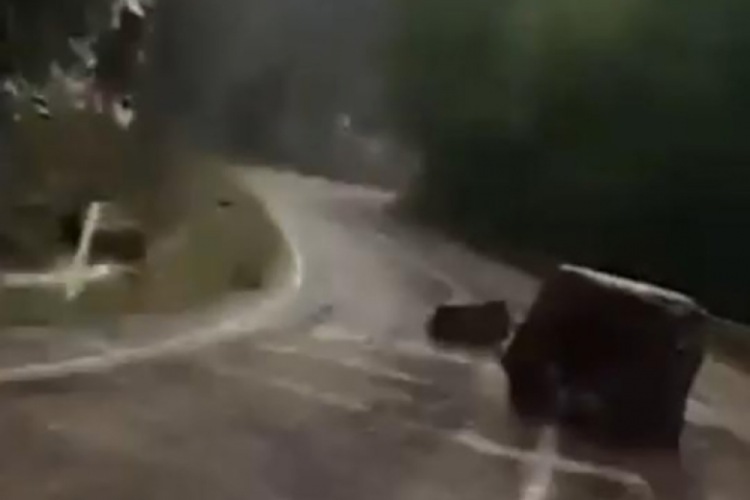 Adana'da 4 &ouml;ğretmenin vefat ettiği yolda yine kaya d&uuml;şt&uuml;!