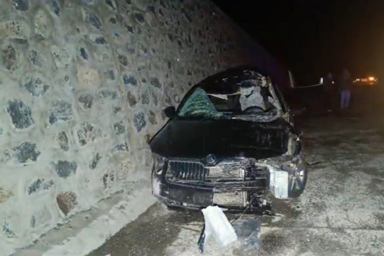 Bingöl'de otomobil ata çarptı: 1 ölü, 5 yaralı