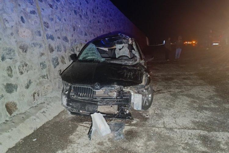 Bingöl'de feci kaza: Otomobil, ata çarptı: 1 ölü, 5 yaralı