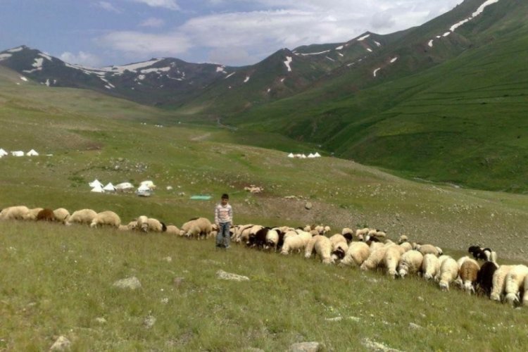 100 bin TL'ye &ccedil;alışacak eleman bulamıyorlar