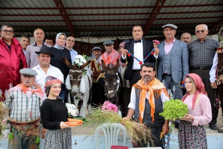 Antalya'da eşeklere nikah kıyıp d&uuml;ğ&uuml;n yaptılar!