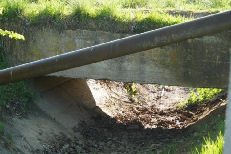 Kastamonu'da sulama kanalında başı kesilmiş ceset bulundu