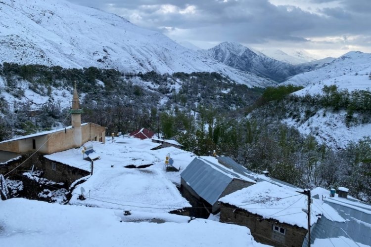 Van'a mayıs ayında lapa lapa kar yağdı