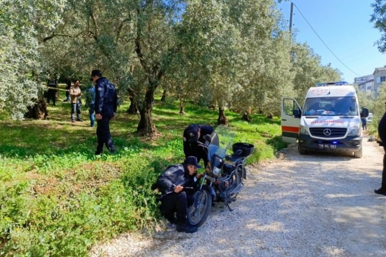 Bursa'da 65 yaşındaki adam zeytin tarlasında asılı bulundu