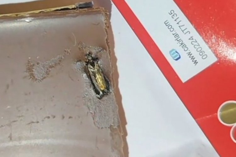 &Uuml;nl&uuml; oyuncu &ccedil;ikolatasından b&ouml;cek &ccedil;ıkınca şoke oldu! O anları videoya &ccedil;ekti
