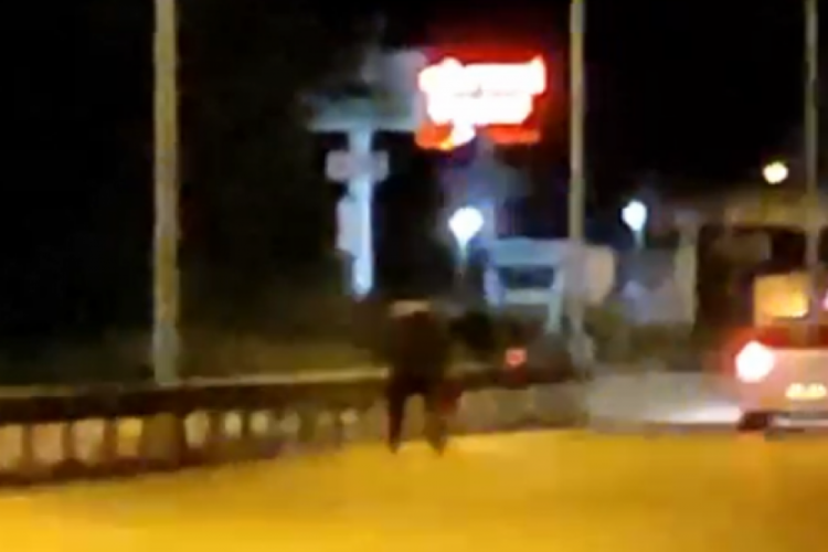 Yalova'da kara yolunda y&uuml;r&uuml;yen adam y&uuml;rekleri ağza getirdi