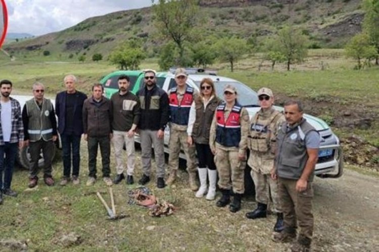 Biyolojik ka&ccedil;ak&ccedil;ılara rekor ceza! Yasak olmasına rağmen Tunceli'de topladılar