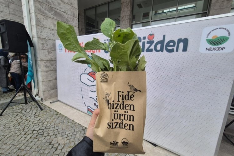Nil&uuml;fer Belediyesi'nden &uuml;cretsiz fide dağıtımı