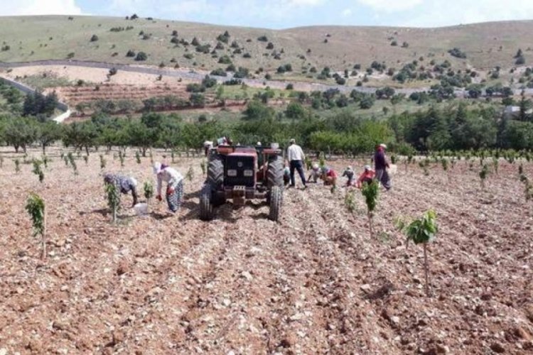 G&uuml;nl&uuml;k bin 500 lira ile &ccedil;alışacak eleman bulamıyorlar!
