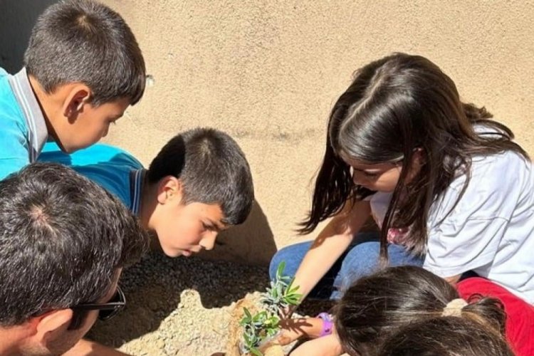 Aydın'da İlkokul öğrencileri hem zeytinin önemini anladı hem fidan dikti
