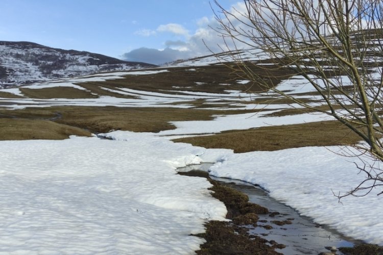 Ardahan'da bahar ve kış bir arada yaşandı