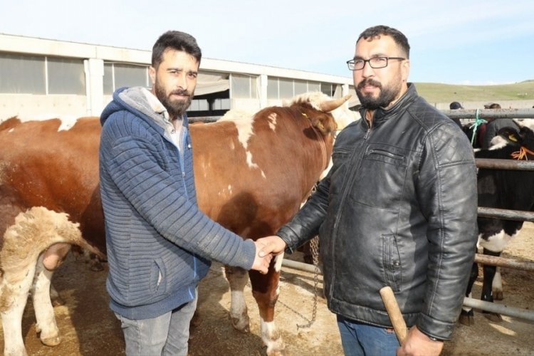 Ankara'da kurbanlıklar satışa &ccedil;ıktı