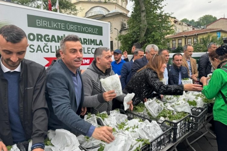 Osmangazi Belediyesi'nden fide dağıtımı