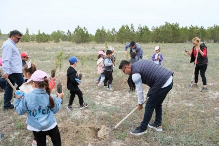 Konya'da minik ilkokul &ouml;ğrencileri fidan dikti