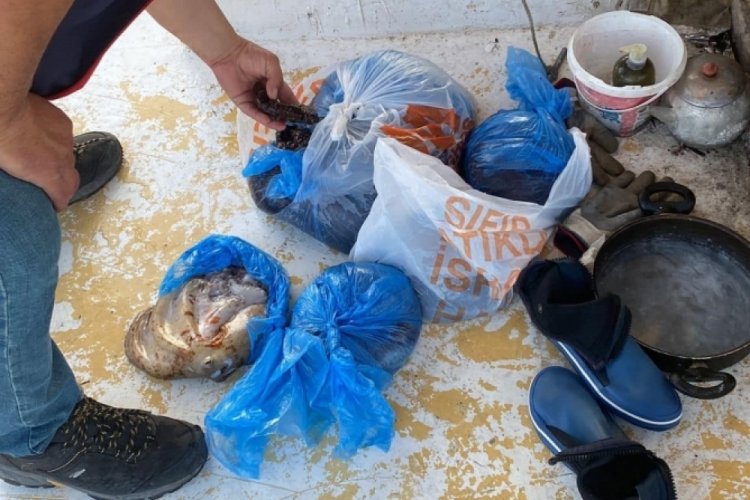 Kanuna aykırı denizde avlanan balık&ccedil;ılara y&ouml;nelik denetim d&uuml;zenlendi