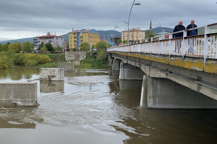 Ardahan'da Kura Nehri taştı