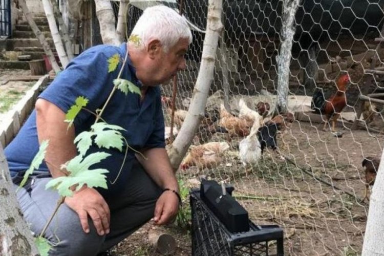 K&ouml;y tavuklarından uzun s&uuml;re verim alamadı! &Ccedil;&ouml;z&uuml;m&uuml; klasik m&uuml;zikte buldu