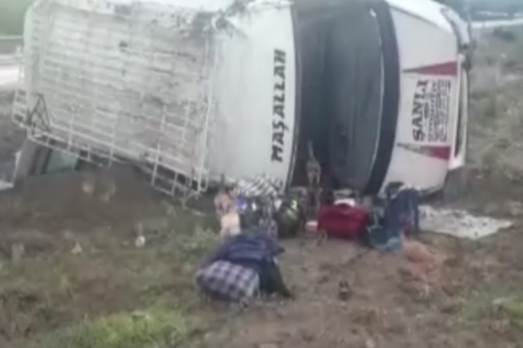 Ankara'da minib&uuml;s takla attı! Kafesi kırılan tavuklar telef oldu