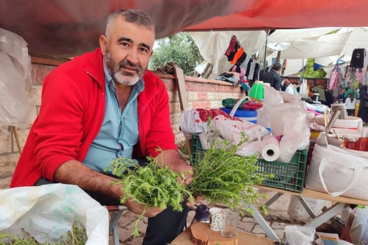 Kahramanmaraş'ta dağdan topladığı kekikler ge&ccedil;im kaynağı oldu