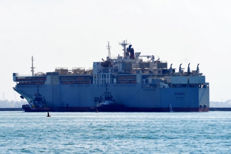 Mersin Limanı'na Uruguay'dan 16 bin angus getirildi