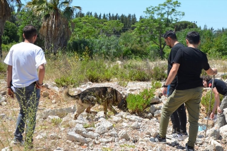 İşitme Engelli Nihal Babayiğit i&ccedil;in arama &ccedil;alışmaları s&uuml;r&uuml;yor