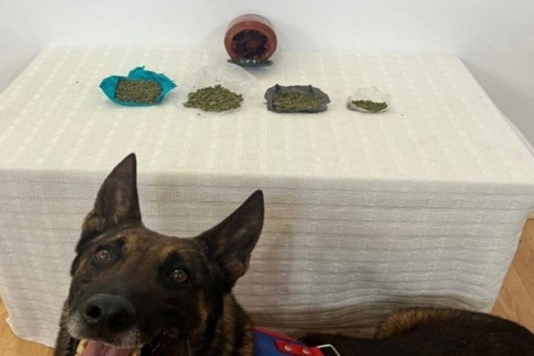 Denizli'de &ccedil;antasındaki uyuşturucu kavanozuyla yakalandı