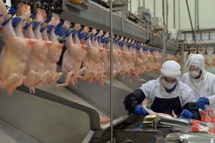 Beyaz ete ihracat yasağı fiyatı d&uuml;ş&uuml;rmedi, orta vadede artış endişesi doğdu