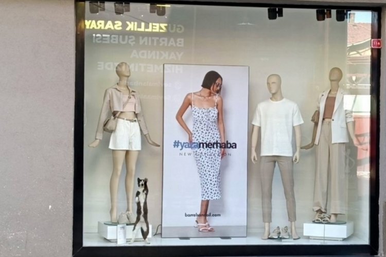 Mağazada mahsur kaldı, camı tırmalayarak yardım istedi