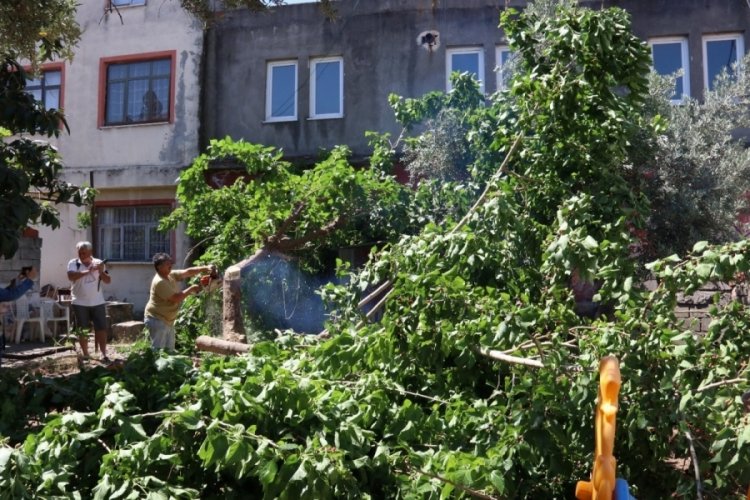 Muğla'da mahalle sakinlerinin piton n&ouml;beti