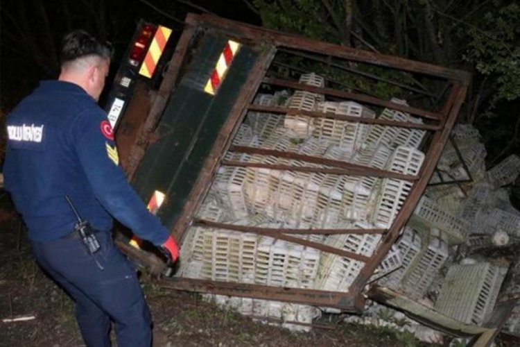 Feci kazada y&uuml;zlerce tavuk telef oldu!