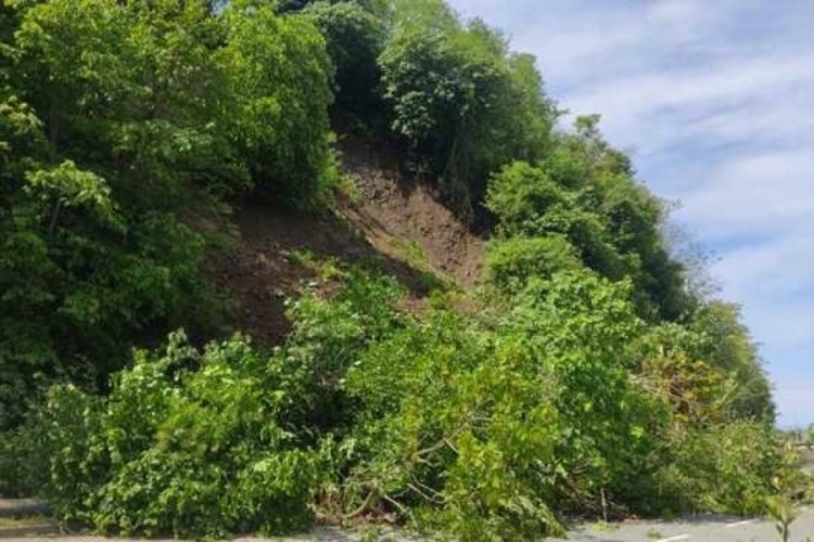 Artvin'de Karadeniz Sahil Yolu'nda ulaşıma heyelan engeli 