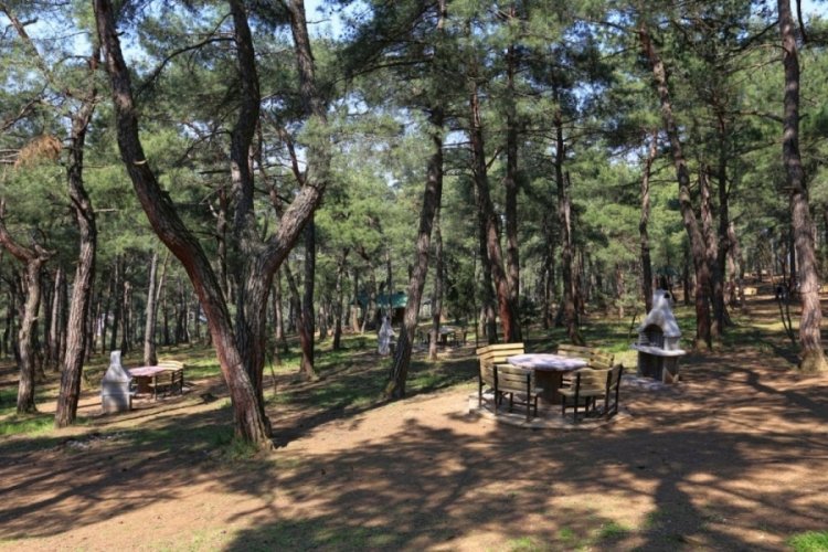 Bursa'da orman yangınları ile m&uuml;cadele kapsamında piknik yasağı!