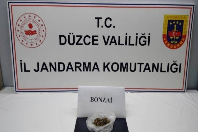 Uyuşturucu kullanan 13 kişi yakalandı
