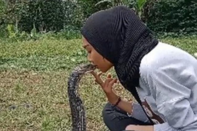 Devasa kobrayı &ouml;p&uuml;c&uuml;klere boğdu! o g&ouml;r&uuml;nt&uuml;lere yorum yağdı