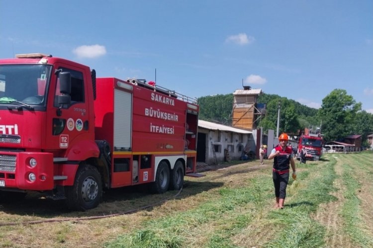 Sakarya'da tavuk &ccedil;iftliğinde yangın paniği!