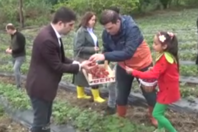 Samsun'da bin rakımda yetişen &ccedil;ileklere yoğun ilgi