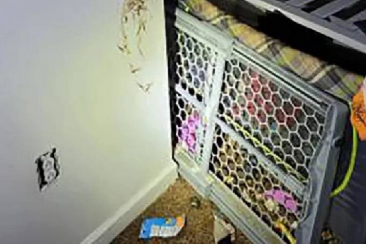 2 yaşındaki oğlunu dışkıyla kaplı kafese kapatan anne tutuklandı