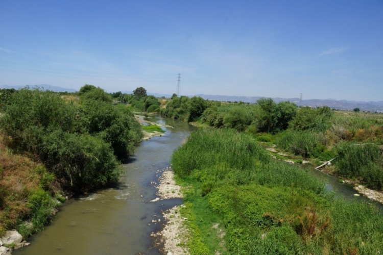 B&uuml;y&uuml;k Menderes Nehri &ccedil;&ouml;plerle tehdit sa&ccedil;ıyor