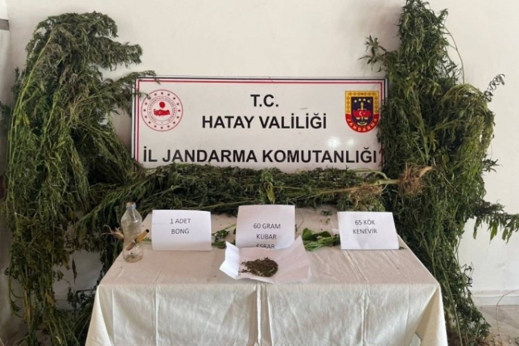 Hatay'da jandarma ekipleri su&ccedil;lulara g&ouml;z a&ccedil;tırmıyor