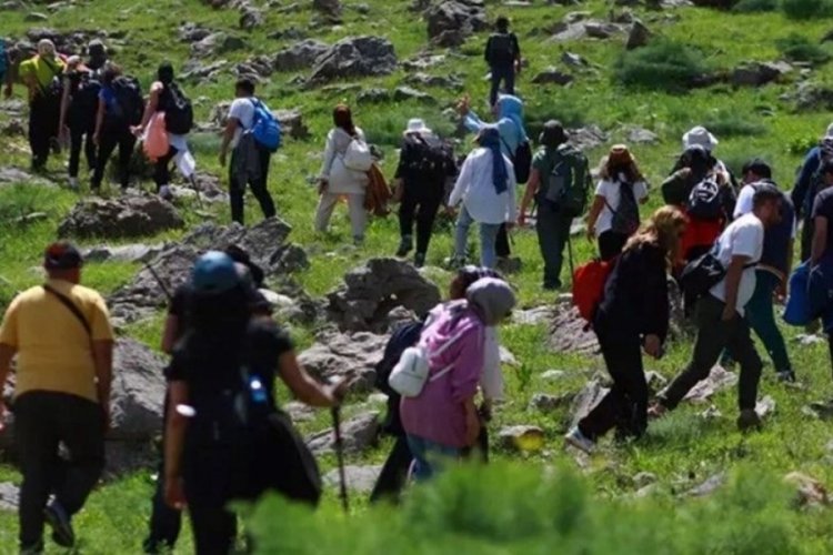 Mardin'den Siirt'e gelen dağcılar ters laleleri görmek için 7 kilometrelik yürüyüş yaptı