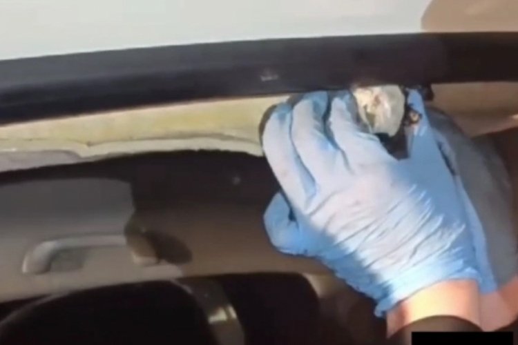 Kastamonu'da narkotik k&ouml;peği Ceku otomobilin direğine gizlenmiş uyuşturucuları buldu
