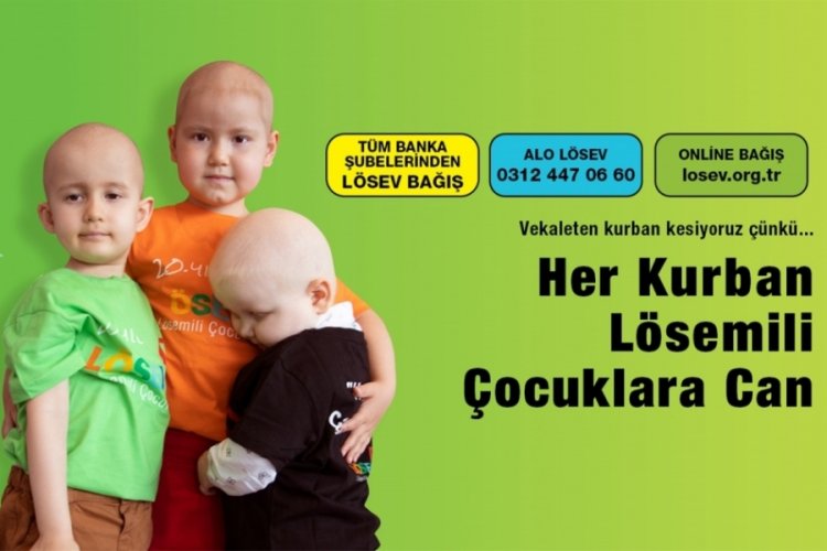 L&Ouml;SEV 2024 Kurban Bayramı Kampanyasına başladı! Her kurban l&ouml;semili &ccedil;ocuklara can