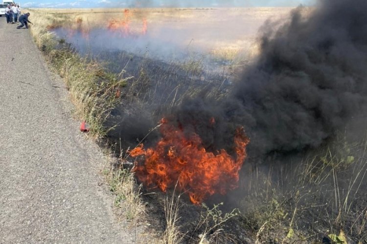 Şırnak'ta 60 d&ouml;n&uuml;m buğday tarlası k&uuml;l oldu
