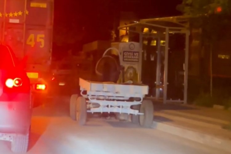Bursa'da başıboş at arabası şehir turu attı, g&ouml;renler şaştı kaldı