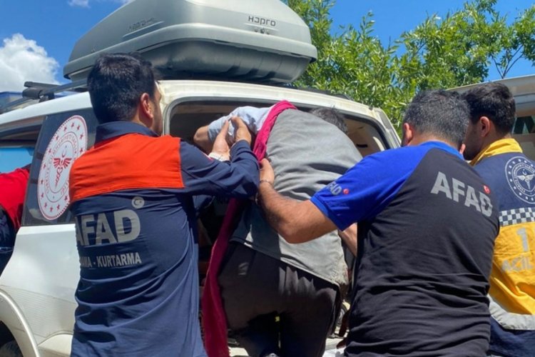Hakkari'de ayı saldırısı