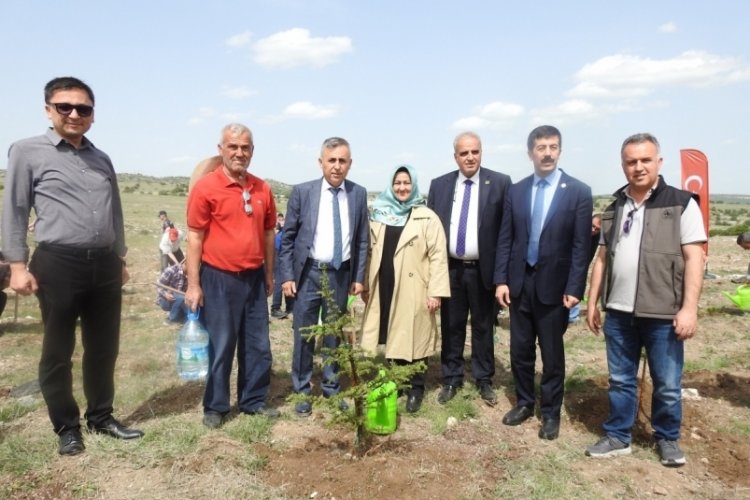 Kütahya'da 150 çam fidan dikilerek  Aile Ormanı tesisi oluşturuldu